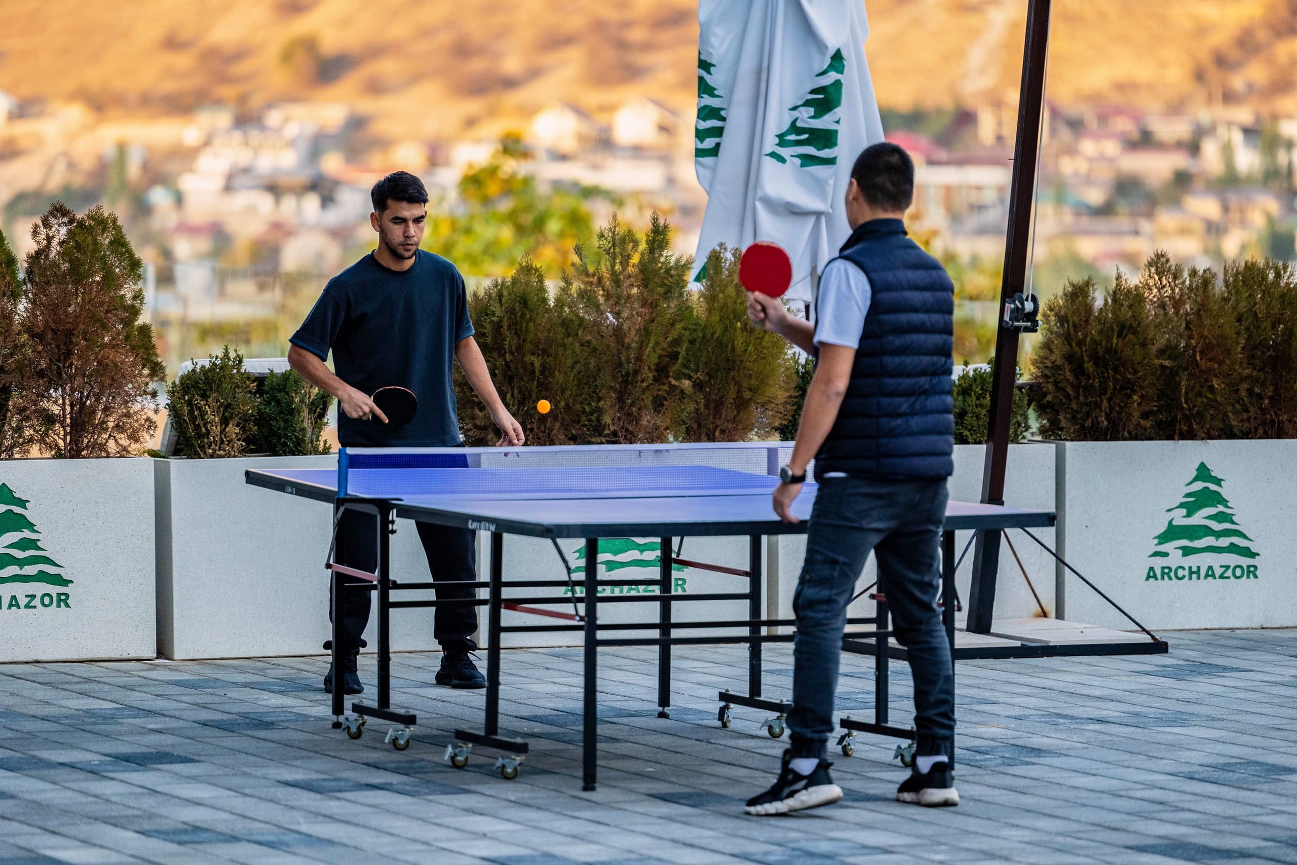 listing card gallery