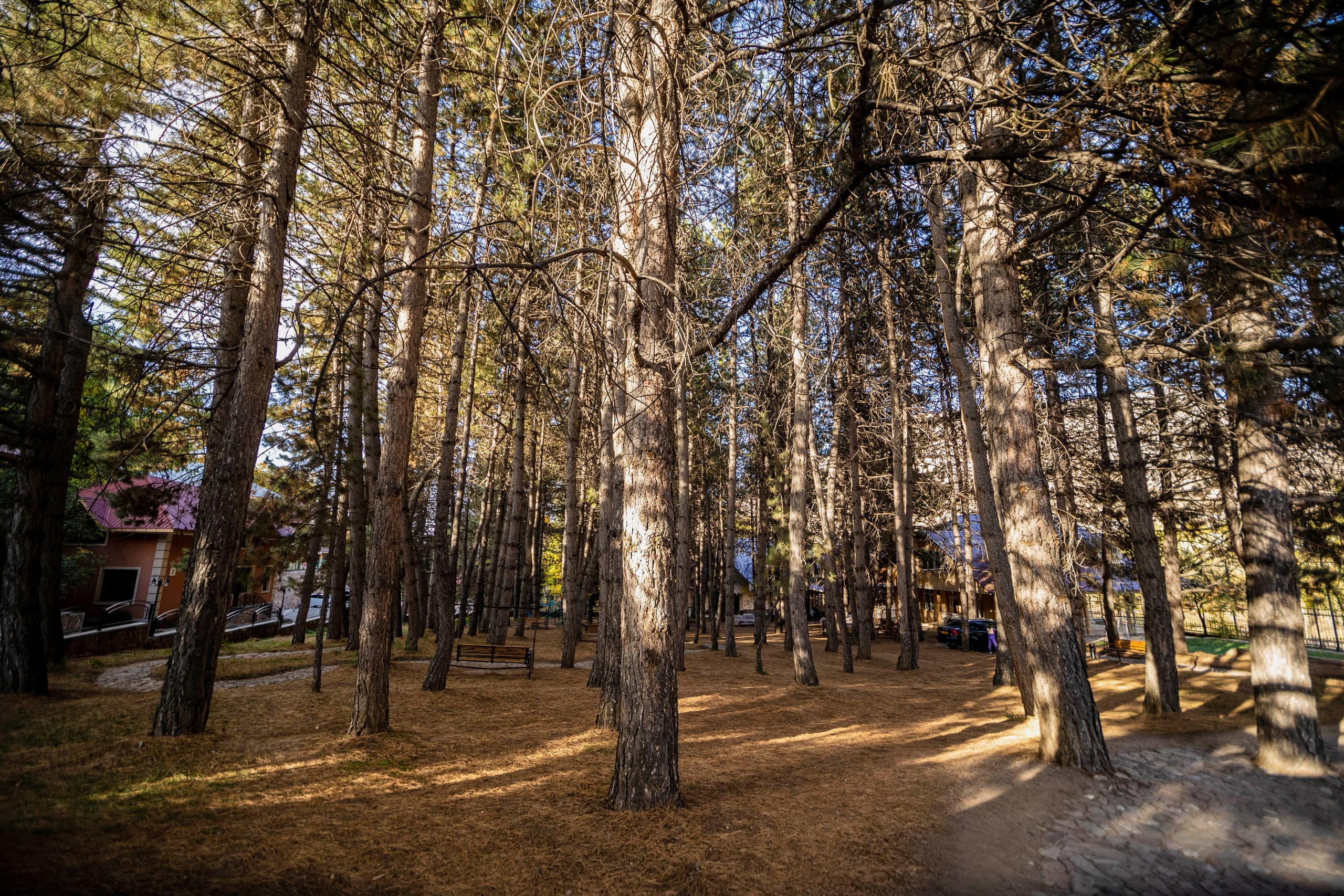 Recovery in the Mountains: SPA and Pine Air